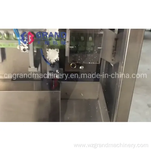 Olive Oil Liquid Forming Filling Sealing Machine Ggs-240